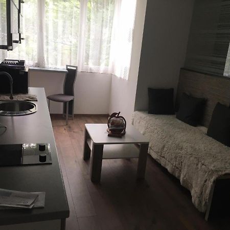 Apartment In The Center Of The Old City, Budzak 14 Σαράγεβο Εξωτερικό φωτογραφία