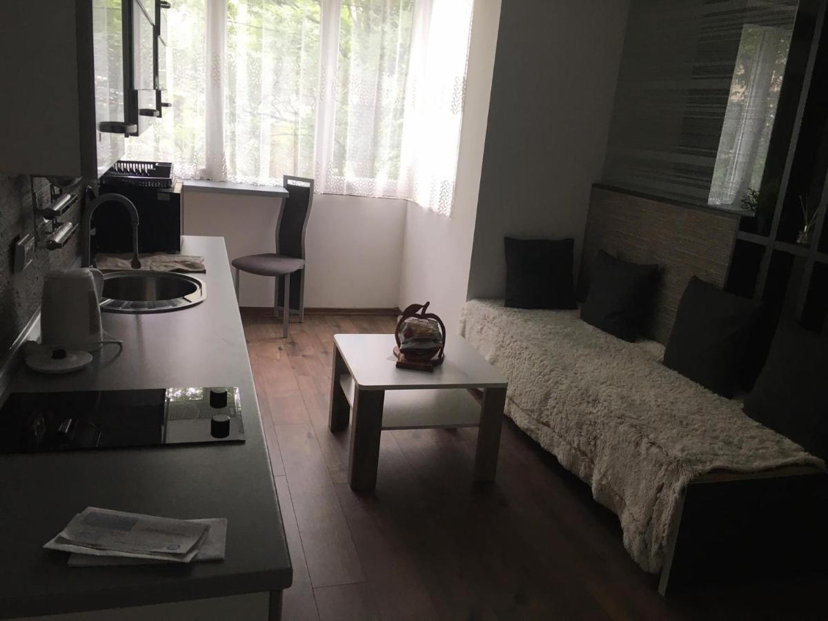 Apartment In The Center Of The Old City, Budzak 14 Σαράγεβο Εξωτερικό φωτογραφία